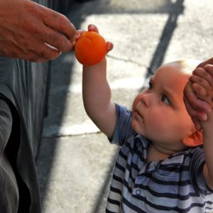 pablo at fruit market